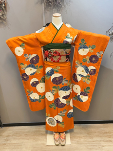 オレンジ　万寿菊