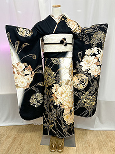 黒×白 四季の花