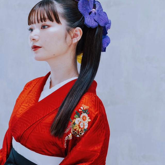 赤/雪輪/花車文